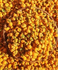Đậu Hà Lan phô mai giá sỉ