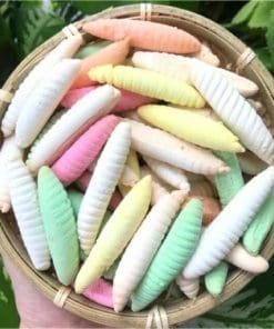 Coconut worms cake wholesale price